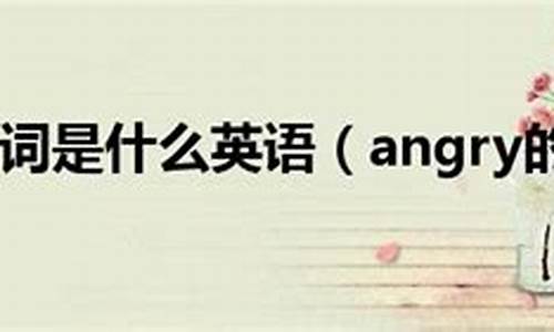 angry的名词(angry的名词形式怎么写)