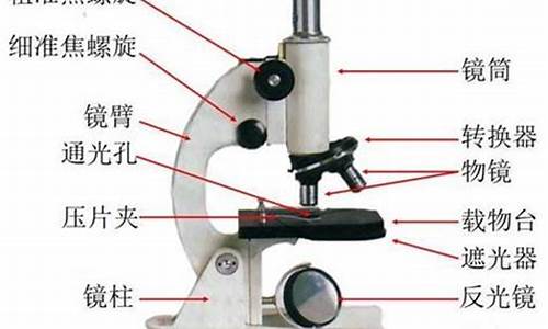 显微镜的用途(显微镜的用途视频)