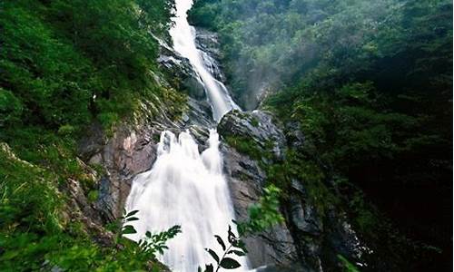 天目山旅游景点攻略(天目山旅游景点攻略门票多少钱)